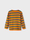 name it RANDIG LÅNGÄRMAD TOPP, Autumn Maple, highres - 13219375_AutumnMaple_002.jpg