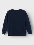 name it POKEMON SWEATSHIRT, Dark Sapphire, highres - 13211451_DarkSapphire_002.jpg
