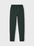 name it BROSSÉ JOGGING EN MOLLETON, Darkest Spruce, highres - 13153665_DarkestSpruce_003.jpg
