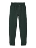 name it BROSSÉ JOGGING EN MOLLETON, Darkest Spruce, highres - 13153665_DarkestSpruce_001.jpg
