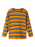 name it RANDIG LÅNGÄRMAD TOPP, Autumn Maple, highres - 13219375_AutumnMaple_001.jpg