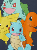 name it POKEMON T-SHIRT, Grisaille, highres - 13212596_Grisaille_005.jpg