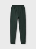 name it BROSSÉ JOGGING EN MOLLETON, Darkest Spruce, highres - 13153665_DarkestSpruce_002.jpg