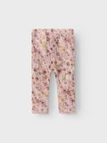 name it MERINO WOOL LEGGINGS, Sphinx, highres - 13214445_Sphinx_1019438_002.jpg
